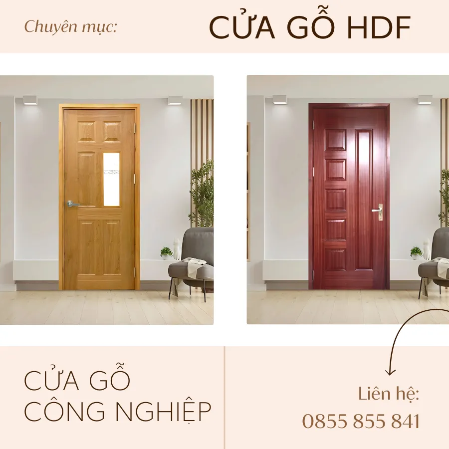 Mẫu cửa gỗ HDF